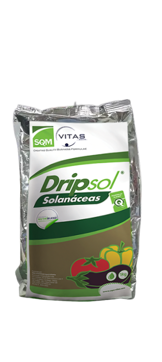 SQM DRIPSOL SOLANACEAS 12.10.25 