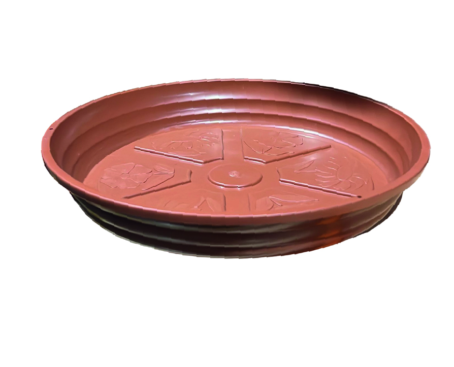 PLATO MARRON
