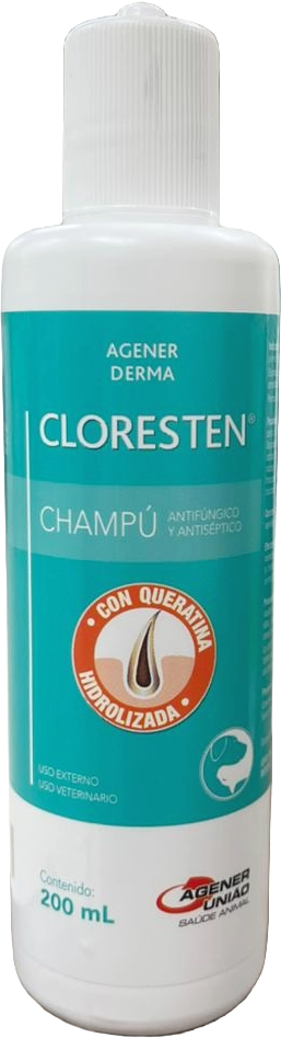CLORESTEN SHAMPOO