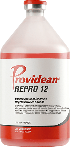 VACUNA REPRO 12