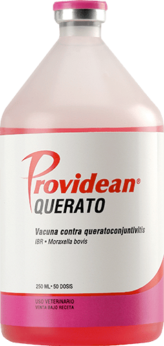 VACUNA QUERATO
