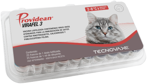 VACUNA GATO PROVIDEAN VIRAFEL 3 1DOSIS