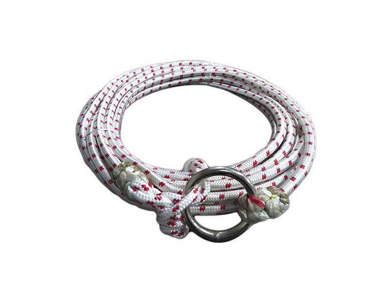 LASO POLIESTER BICOLOR