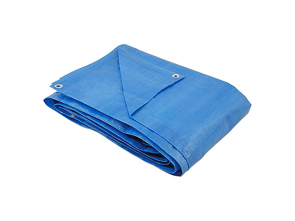 CARPA LONA FORTE 5 X 8 AZUL