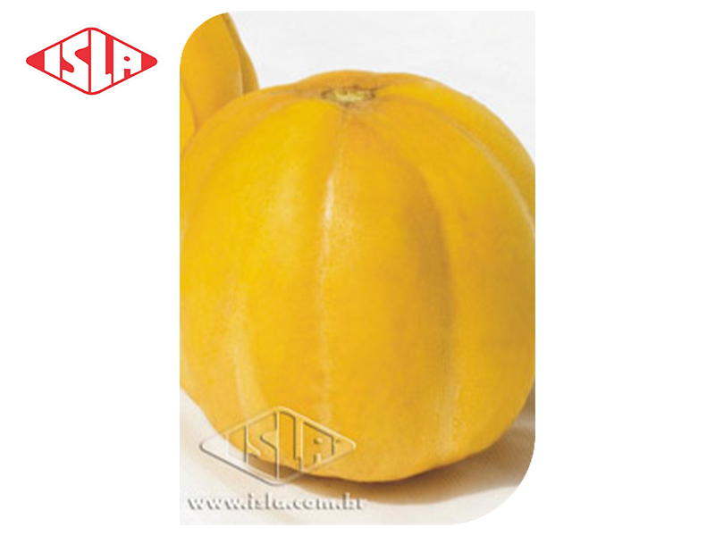 SEMILLA MELON REDONDO GAUCHO 100 GR ISLA