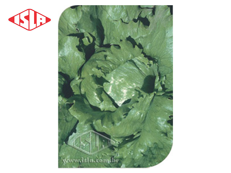 SEM.SUPER GRANDES LAGOS ISLA 