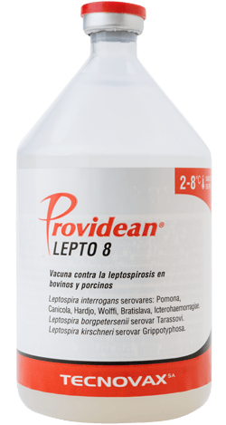 VACUNA LEPTO 8 250ML 50 DOSIS