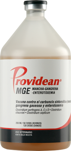 VACUNA MGE 50ML 25 DOSIS 