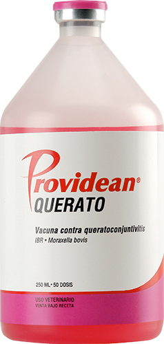 VACUNA QUERATO 250ML 50 DOSIS
