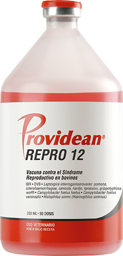 VACUNA REPRO 12 250ML 50 DOSIS