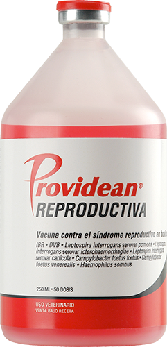 VACUNA REPRODUCTIVA 250ML 50 DOSIS