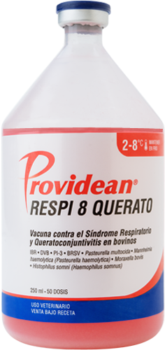 VACUNA RESPI 8 QUERATO 250ML 50 DOSIS