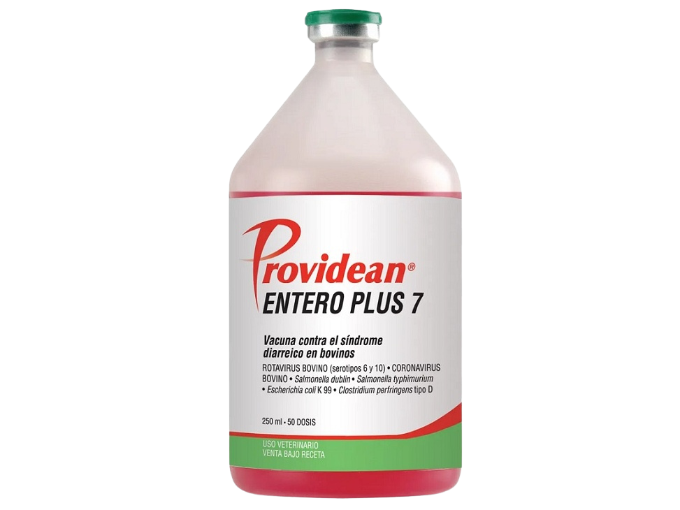 VACUNA ENTERO PLUS 7 250ML 50 DOSIS 