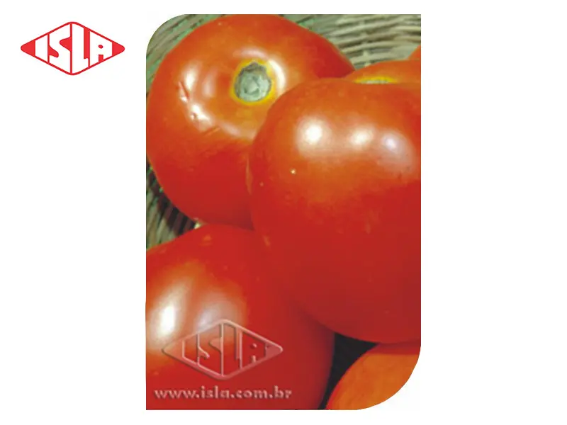 SEMILLA TOMATE SANTA CRUZ KADA 50GR ISLA